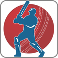 Cricket Log