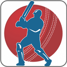 Cricket Log icône
