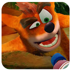 Super Bandicoot Crash Adventures 3 icône