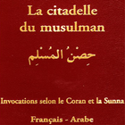 La citadelle du Musulman icône