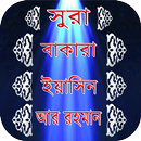 সুরা ইয়াসিন বাকারা ও আর রহমান APK