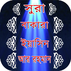 সুরা ইয়াসিন বাকারা ও আর রহমান icône