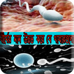 বীর্যের মান উন্নত করে যে খাবারগুলো