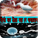 বীর্যের মান উন্নত করে যে খাবারগুলো APK