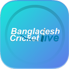 BD CRICKET 아이콘