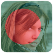 Bangladesh Flag Profile Pictur icon