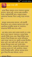 বরফ গলা নদী Borof Gola Nodi screenshot 3