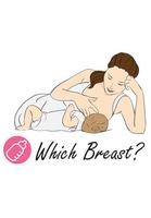 Which Breast? capture d'écran 1