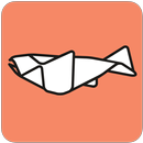 SALMON. APK