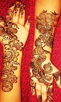 Latest Mehndi - video and pattern 截图 3