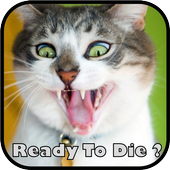 Crazy funny jokes and quotes icon