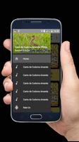 Canto de Codorna Amarela Offline bài đăng