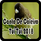 Canto De Coleiro Tui Tui 2018 icône
