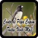 Canto de Papa Capim Tuitui Viviti Mp3 APK