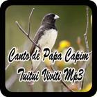 Canto de Papa Capim Tuitui Viviti Mp3-icoon
