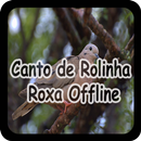 Canto de Rolinha Roxa Offline APK