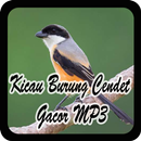 Kicau Burung Cendet Gacor MP3 APK