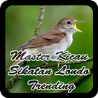 Master Kicau Sikatan Londo Trending आइकन