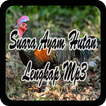 Suara Ayam Hutan Lengkap Mp3