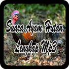 Suara Ayam Hutan Lengkap Mp3 icône