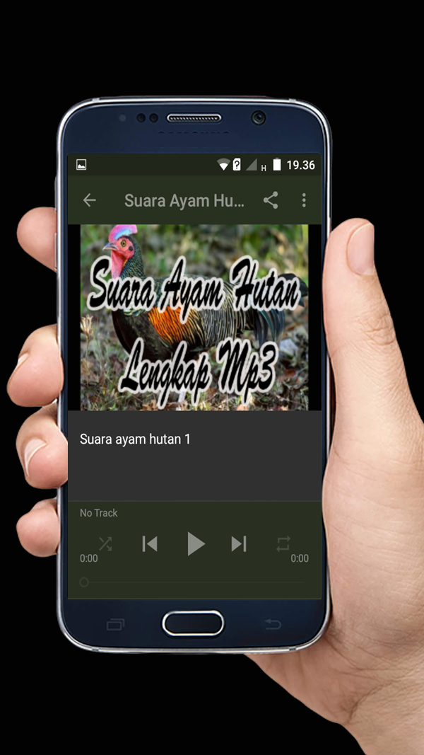 Suara Ayam Hutan Lengkap Mp3 APK 1 0 Download for Android Suara Ayam Hutan Lengkap Mp3 APK 1 0 Download for Android