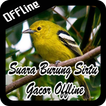 Suara Burung Sirtu Gacor Offline