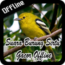 Suara Burung Sirtu Gacor Offline APK