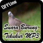 Suara Burung Tekukur MP3 ícone