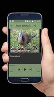 برنامه‌نما Suara Burung Tekukur MP3 عکس از صفحه