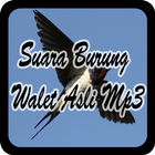 Suara Burung Walet Asli Mp3 icône
