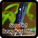 Suara Pikat Burung Murai Offline APK