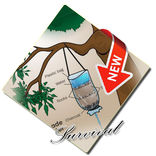 Survival Tips Creative