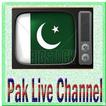 B Media TV