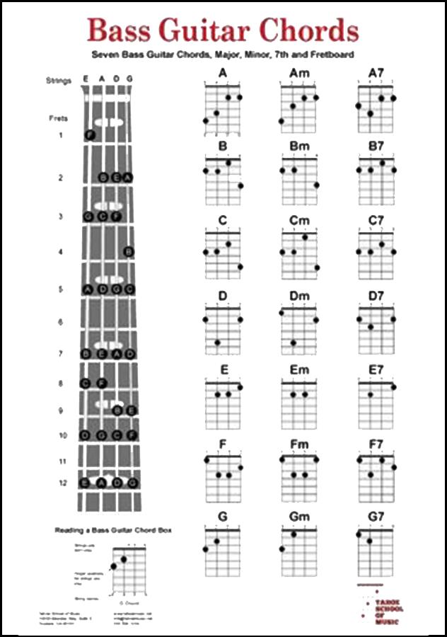 Basic Bass Guitar Chords pour Android - Téléchargez l'APK