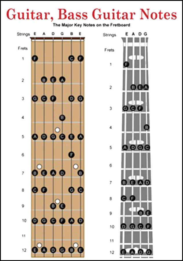 Basic Bass Guitar Chords pour Android - Téléchargez l'APK