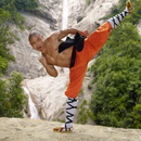 The Best Shaolin Basic Self-Defense Technique APK