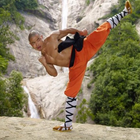 The Best Shaolin Basic Self-Defense Technique ikona