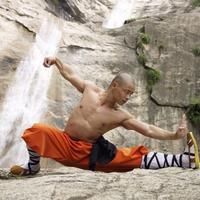 The Best Shaolin Basic Self-Defense Technique plakat