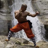 The Best Shaolin Basic Self-Defense Technique screenshot 1