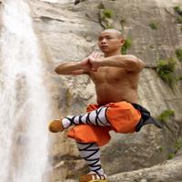 The Best Shaolin Basic Self-Defense Technique screenshot 2