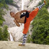 The Best Shaolin Basic Self-Defense Technique screenshot 3