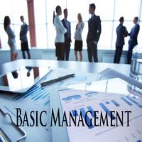 Basic Of Management Affiche