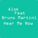 Alok music songs - Hear me Now APK