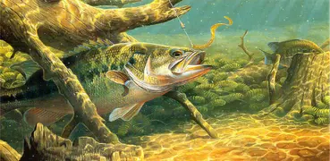 Bass Fishing Wallpapers