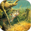 Bass Fishing Wallpapers APK