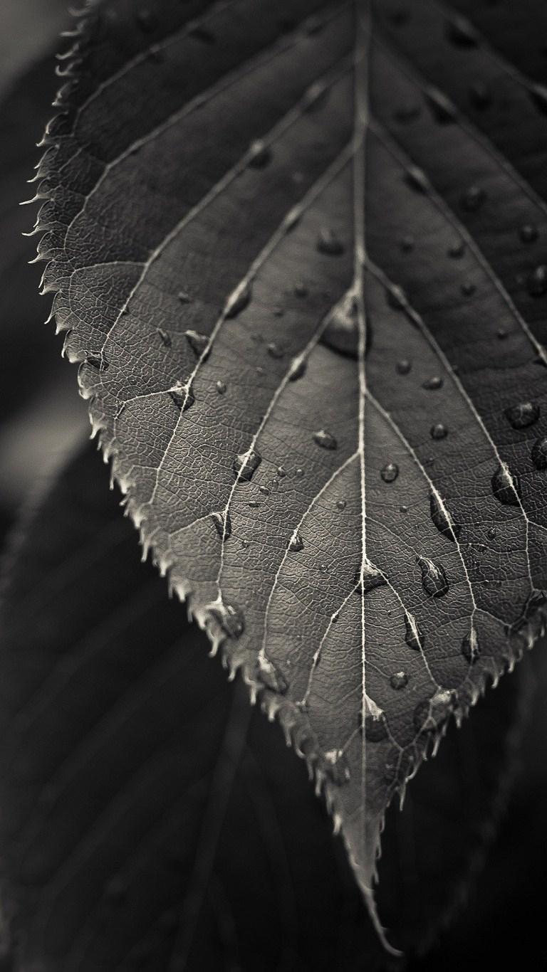 HTC One M8 Wallpapers HD for Android APK Download HTC One M8 Wallpapers HD for Android APK Download