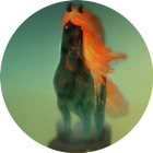 Black horse icône