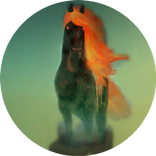 Black horse live wallpaper