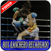 Box Ranchero Recargado