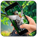 Burung Hantu Di Layar Lelucon APK